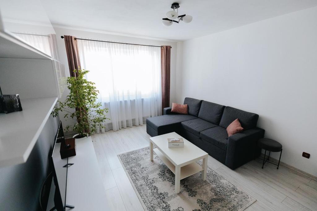 Târgu Jiu Scandinavian House 아파트 외부 사진